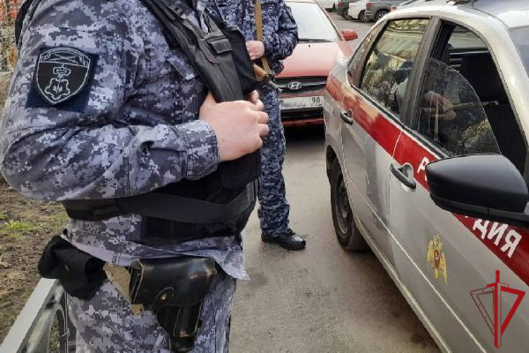 В Пушкине сотрудники Росгвардии задержали хулигана, повредившего три автомобиля