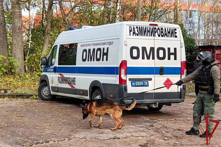 Сотрудники ОМОН Росгвардии обезвредили более 30 боеприпасов времён войны, обнаруженных в Петербурге и Ленобласти