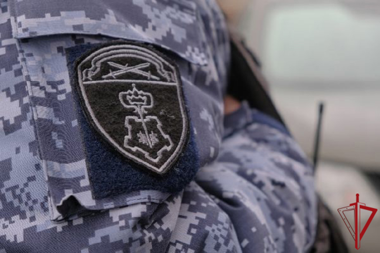 В Ленинградской области наряд Росгвардии задержал хулигана, порезавшего ножом колеса у припаркованного пикапа