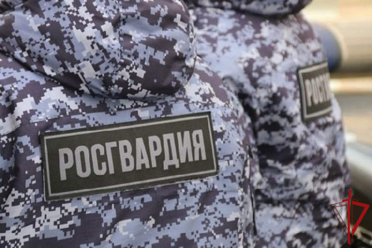 В поселке Шушары наряд Росгвардии задержал правонарушителя, угрожавшего ножом бармену