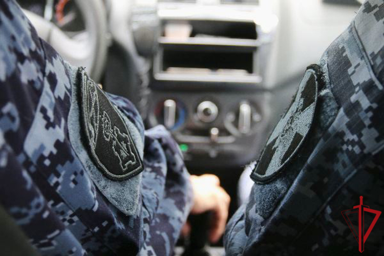 В Гатчине сотрудники вневедомственной охраны задержали двух правонарушителей, укравших ноутбук у местной жительницы
