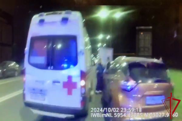 В Невском районе наряд Росгвардии задержал хулигана, угрожавшего ножом бригаде скорой помощи