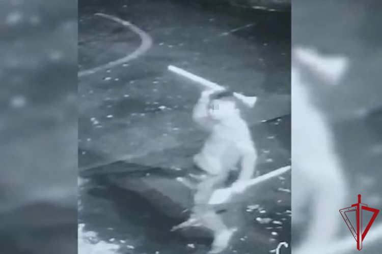 В Сестрорецке наряд Росгвардии задержал хулигана, ломавшего учебную площадку на территории колледжа