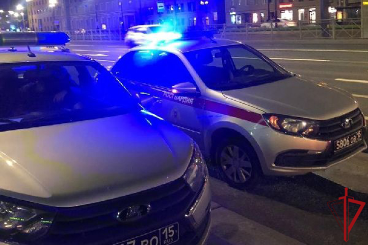 В Московском районе сотрудники Росгвардии обезоружили правонарушителя с травматическим пистолетом