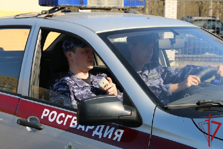 В поселке им.Свердлова сотрудники Росгвардии и полиции задержали гражданку, нанесшую побои своим родителям