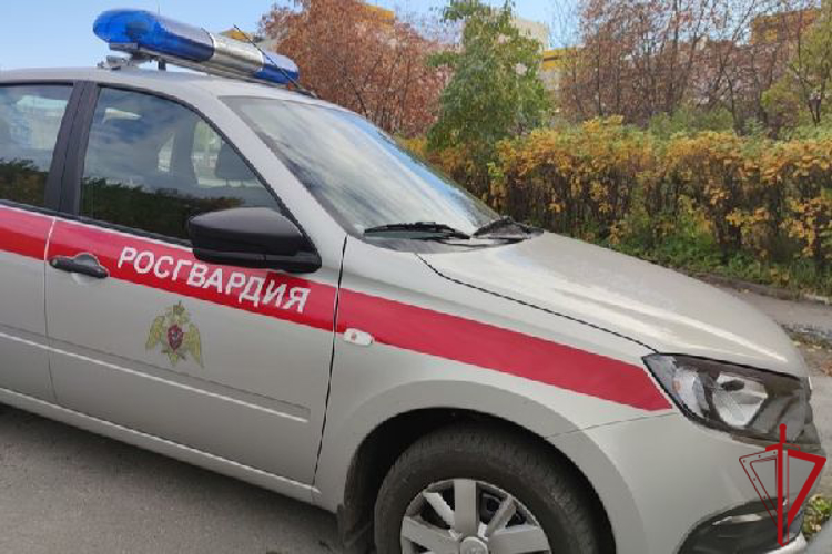В Кировском районе наряд Росгвардии задержал грабителя, пытавшегося убежать из магазина с похищенным гаджетом