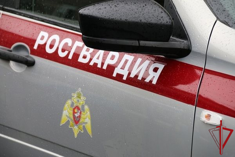 В Московском районе сотрудники Росгвардии задержали оператора БПЛА, снимавшего с воздуха территорию складов промышленного предприятия