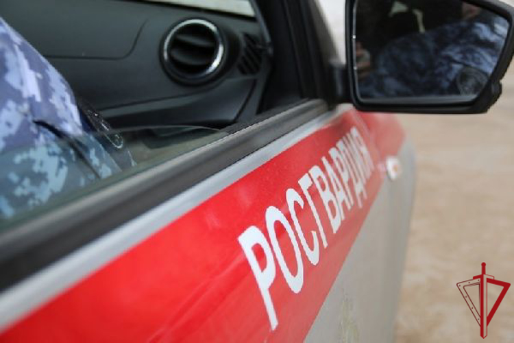 В Кронштадте сотрудники Росгвардии по горячим следам задержали хулиганов, разбивших окно квартиры на первом этаже