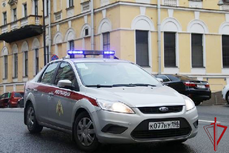В Центральном районе наряд Росгвардии задержал правонарушителя, избившего мужчину в ходе конфликта на Невском проспекте