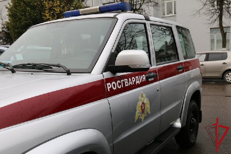 В Красногвардейском районе наряд Росгвардии задержал двух дебоширов, нарушавших правопорядок в хостеле