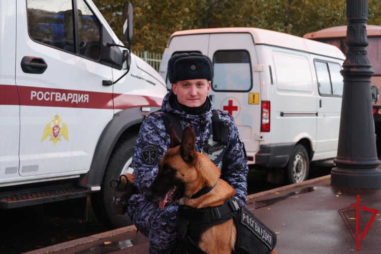 Подразделения Росгвардии обеспечили правопорядок при проведении футбольного матча Российской Премьер-Лиги