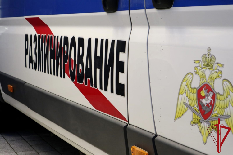  Петергофе взрывотехники ОМОН ГУ Росгвардии обследовали схрон с боеприпасами полувековой давности