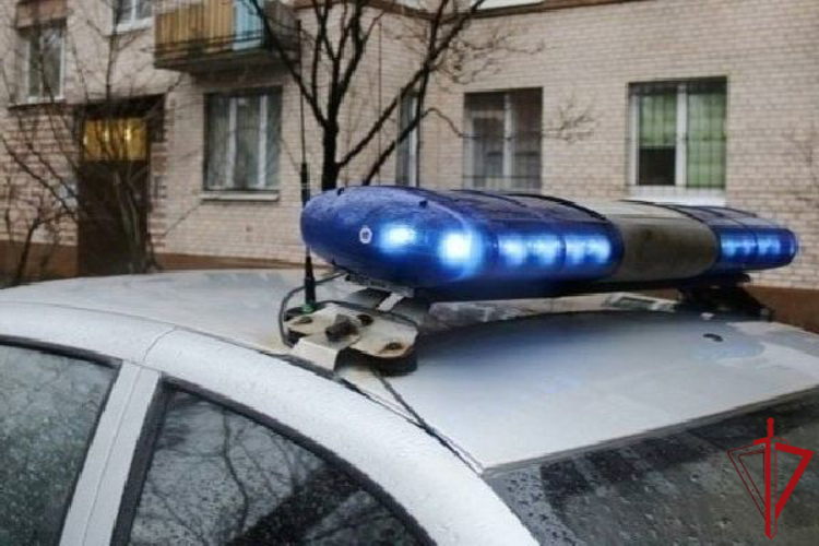 В Кировском районе наряд вневедомственной охраны задержал гражданку, в ходе конфликта нанесшую телесные повреждения прохожему