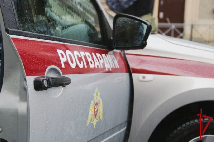 В Невском районе наряд Росгвардии задержал водителя, подозреваемого в применении пневматического оружия