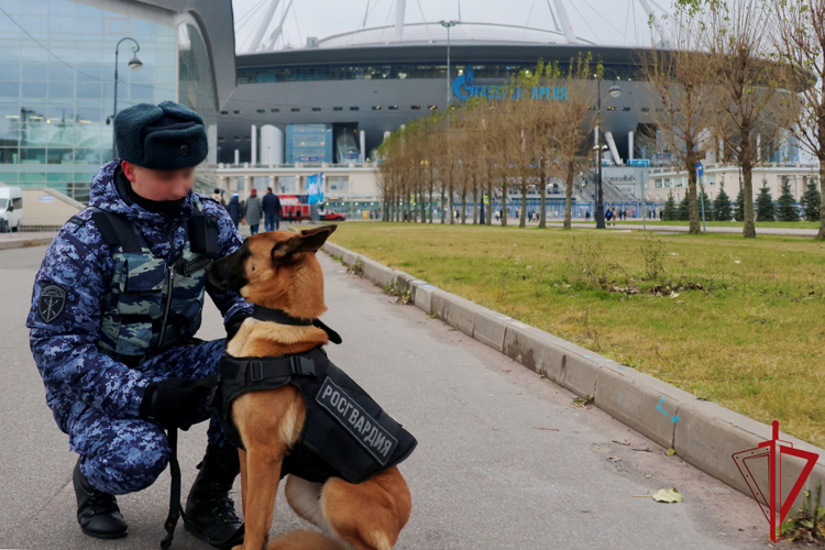 Подразделения Росгвардии обеспечили правопорядок при проведении футбольного матча Российской Премьер-Лиги