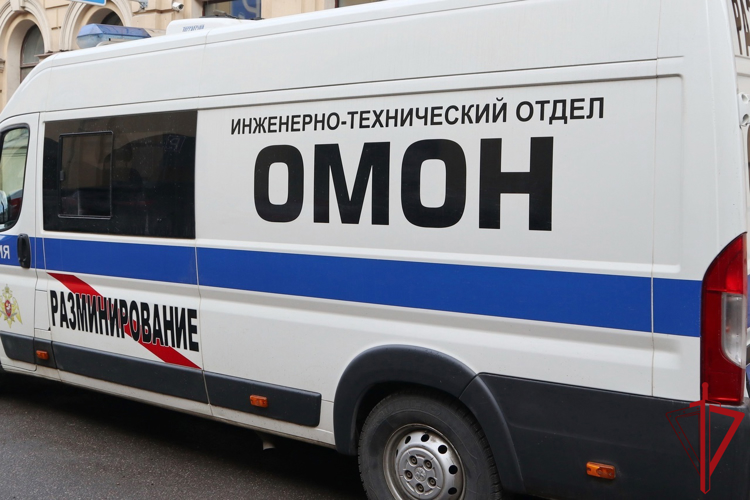 В Александровском парке взрывотехники ОМОН Росгвардии обследовали 50-килограммовую бомбу XIX века