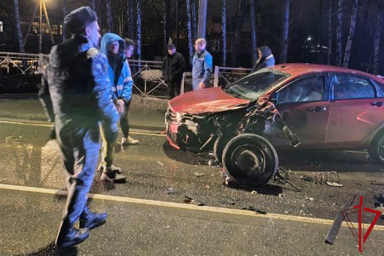 В Ленобласти наряд Росгвардии первым оказался на месте ДТП и задержал пытавшегося скрыться виновника аварии