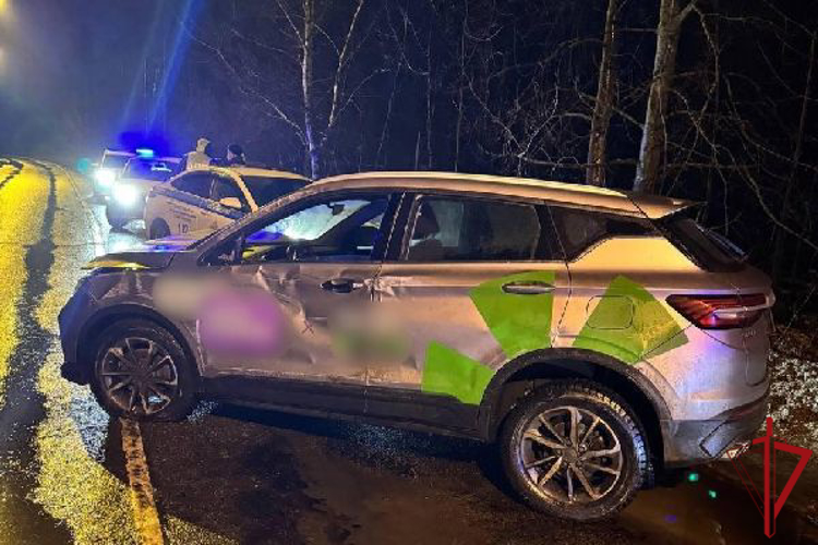 В Красногвардейском районе наряд Росгвардии обнаружил лежащий на боку автомобиль с водителем и вызвал спасателей