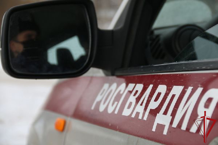 В Пушкине сотрудники Росгвардии локализовали возгорание в припаркованном автомобиле