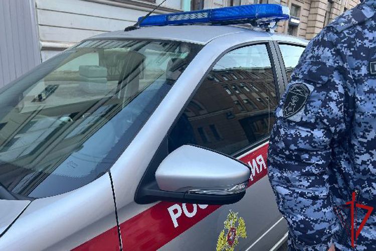 В центре Петербурга сотрудники Росгвардии задержали гражданина, повредившего припаркованный автомобиль