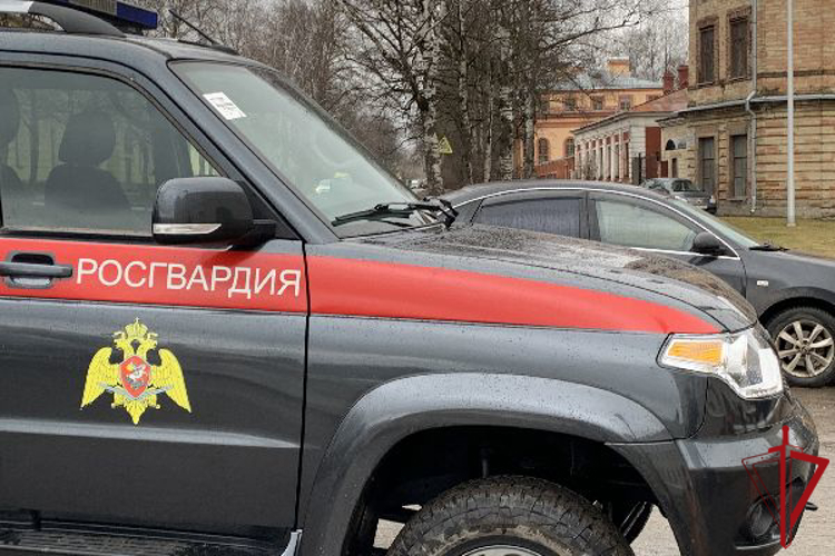 В Ленобласти сотрудники Росгвардии задержали гражданку, воспользовавшуюся ножом в ходе бытового конфликта с мужем