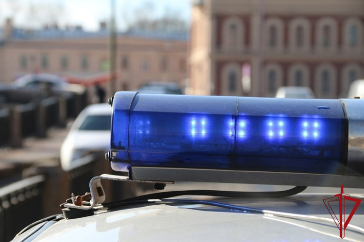 В Центральном районе сотрудники Росгвардии задержали хулиганов, избивших прохожего и снявших это на видео