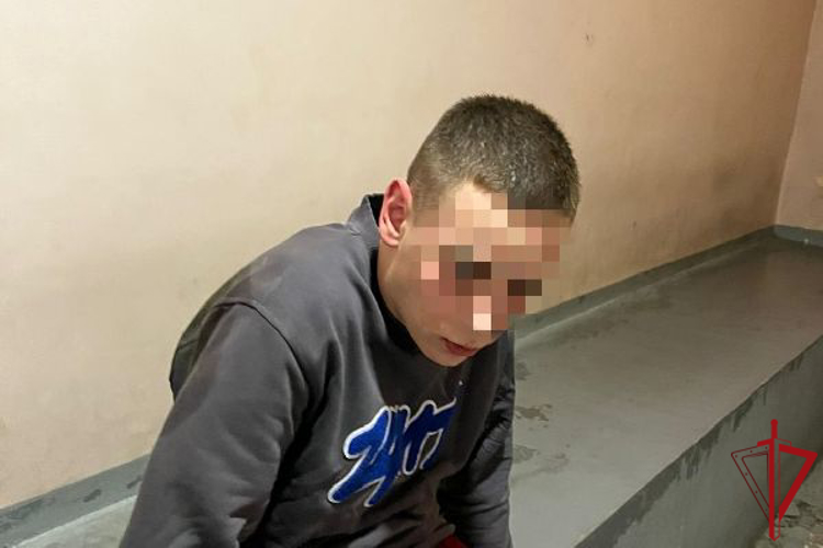 В Центральном районе сотрудники Росгвардии задержали хулиганов, избивших прохожего и снявших это на видео