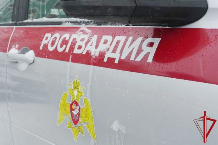 В Отрадном сотрудники Росгвардии задержали рецидивистов, избивших и ограбивших прохожего