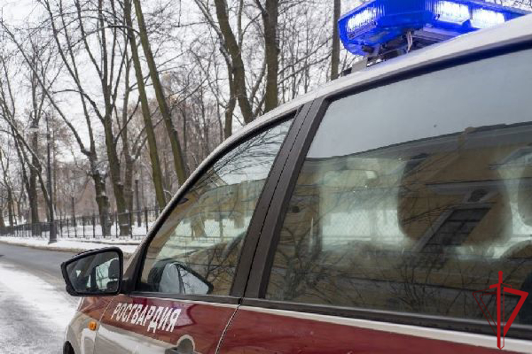 В Выборгском районе сотрудники Росгвардии задержали подозреваемых в повреждении имущества ТРК