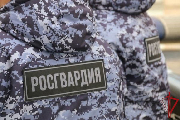 В Центральном районе наряд Росгвардии задержал участника конфликта в баре, нанесшего травму головы другому посетителю  