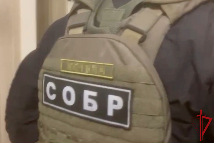 В Санкт-Петербурге при содействии СОБР Росгвардии задержан подозреваемый в пропаганде терроризма