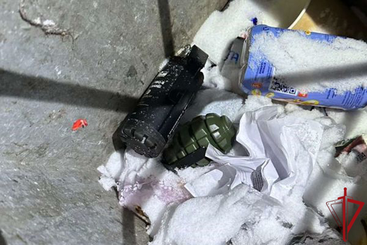 В Московском районе сотрудники Росгвардии задержали злоумышленника, ранившего ножом мужчину в апарт-отеле