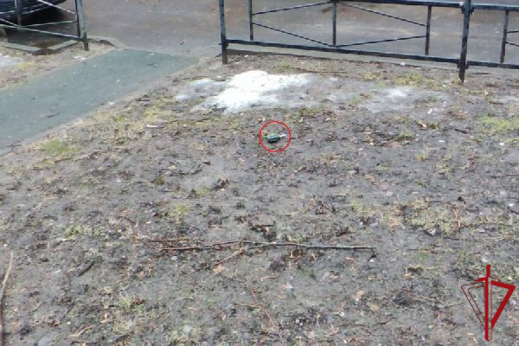 В Кронштадте сотрудники Росгвардии обследовали предмет, похожий на гранату и обеспечили охрану места происшествия