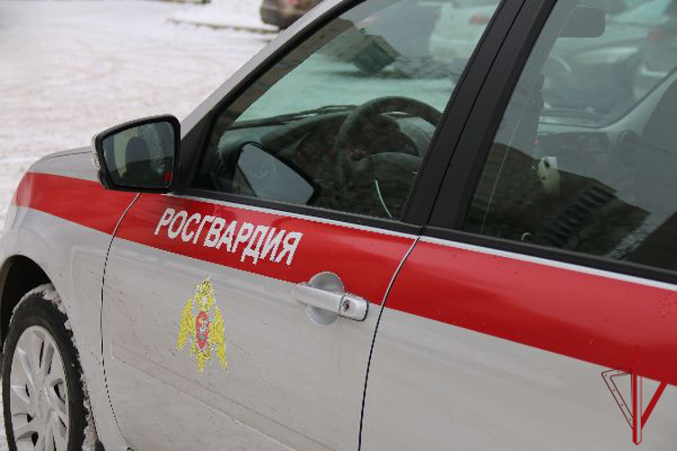 Во Всеволожском районе сотрудники Росгвардии задержали рецидивиста, проникшего на территорию предприятия