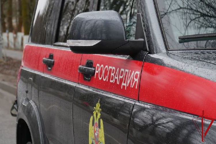 В Красногвардейском районе сотрудники Росгвардии задержали рецидивиста, угрожавшего убийством своей семье