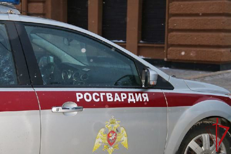 В Невском районе сотрудники Росгвардии задержали гражданку, воспользовавшуюся ножом в ходе конфликта с супругом