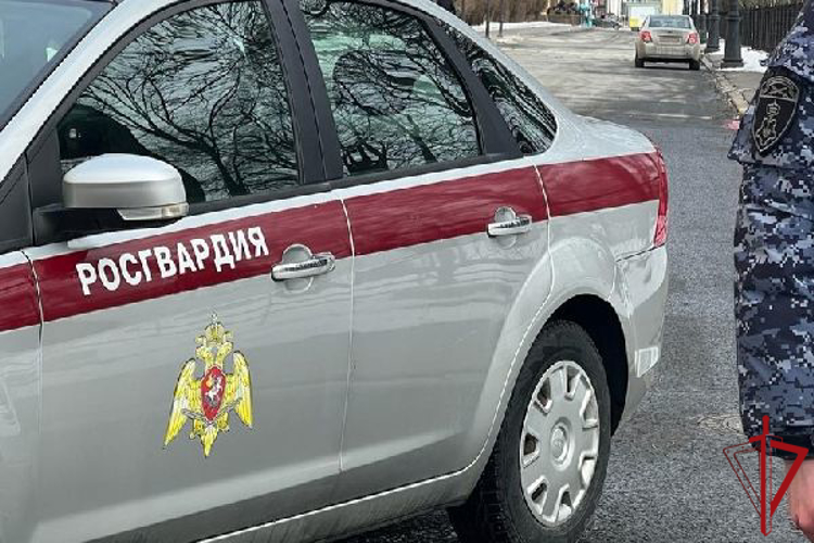 В Центральном районе сотрудники Росгвардии и полиции задержали гражданку, нанесшую ножевое ранение супругу