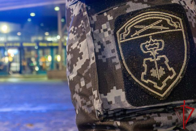 В Колпино наряд Росгвардии задержал хулигана, избившего подростка