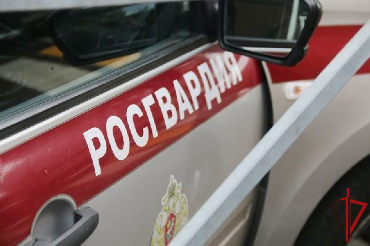 В Выборгском районе сотрудники Росгвардии задержали хулигана, устроившего разгром в книжном магазине