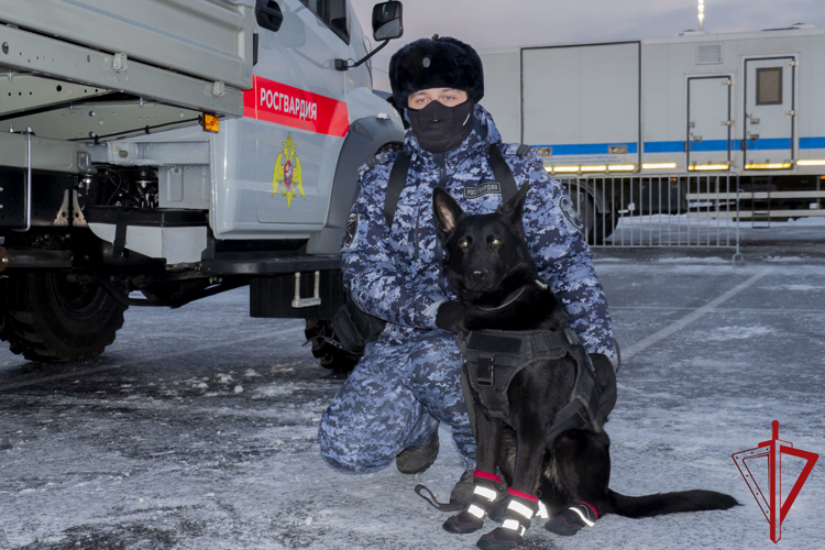 Подразделения Росгвардии обеспечили правопорядок при проведении хоккейного матча «СКА» - «АК Барс»