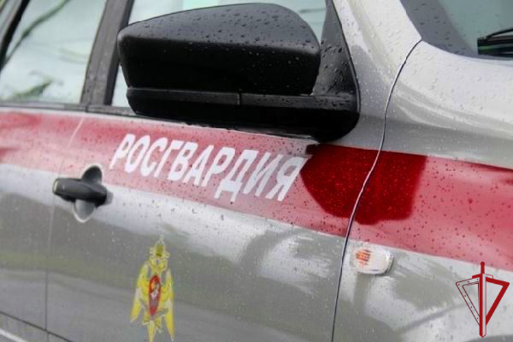 В Красногвардейском районе наряд Росгвардии задержал правонарушительницу, нанесшую телесные повреждения работнице супермаркета