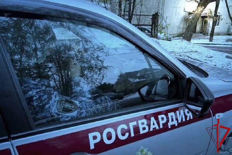 В Колпино сотрудники Росгвардии вернули матери малолетних дочерей, которые поздней ночью одни шли по улице