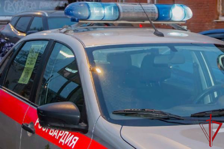 Во Фрунзенском районе наряд Росгвардии задержал правонарушителей, пытавшихся скрыться после кражи из супермаркета