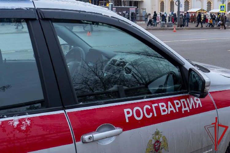 В Павловске наряд Росгвардии задержал правонарушителя, угрожавшего отверткой прохожему