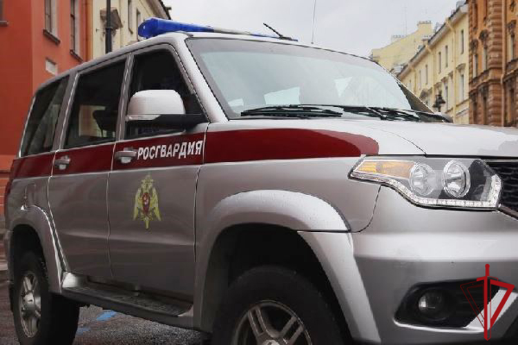 В Центральном районе сотрудники Росгвардии задержали рецидивиста, нанесшего знакомому ранение ручным инструментом