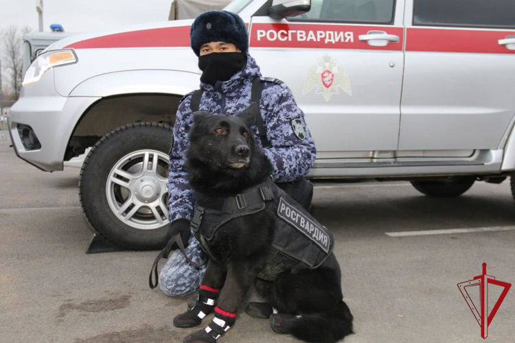Подразделения Росгвардии обеспечили правопорядок при проведении хоккейного матча «СКА» - «Динамо»