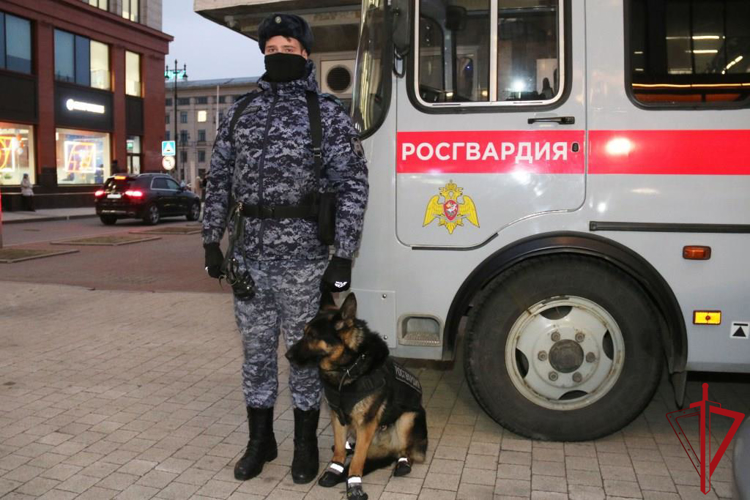Подразделения Росгвардии обеспечили правопорядок при проведении хоккейного матча «СКА» - «Динамо»