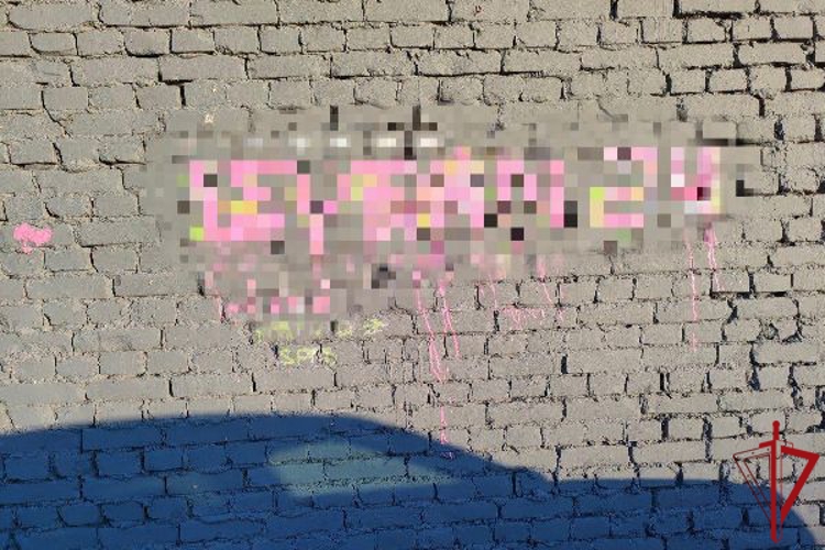 В Центральном районе сотрудники Росгвардии задержали хулиганов, рисовавших на стене здания, являющегося объектом культурного наследия