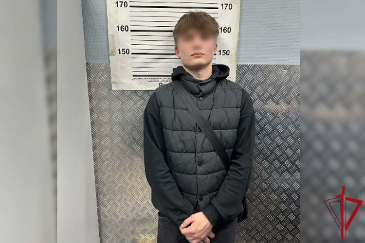 В Центральном районе сотрудники Росгвардии задержали двух граждан, направлявших пневматический пистолет на посетителей ТРК