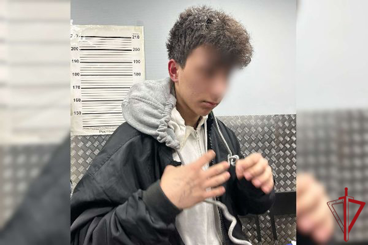 В Центральном районе сотрудники Росгвардии задержали двух граждан, направлявших пневматический пистолет на посетителей ТРК